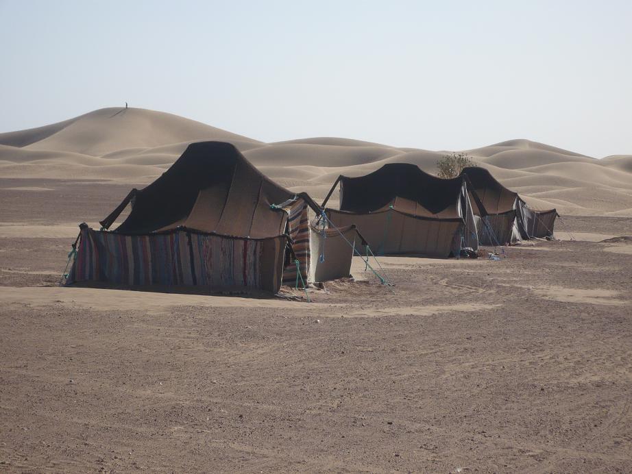 La Perle du Drâa Hotel Zagora Riad Zagora :  loisirs